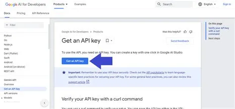 Panduan-Praktis-Membuat-API-Key-Gemini-untuk-Pemula-Panduan-Mudah