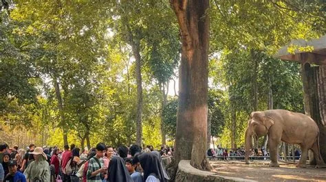 ragunan-Ragunan-Jelajahi
